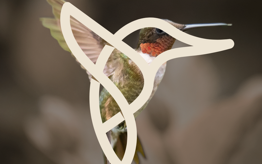 Intestino preso? Gastroenterologista em Aracaju lista os alimentos que “destravam” sua saúde